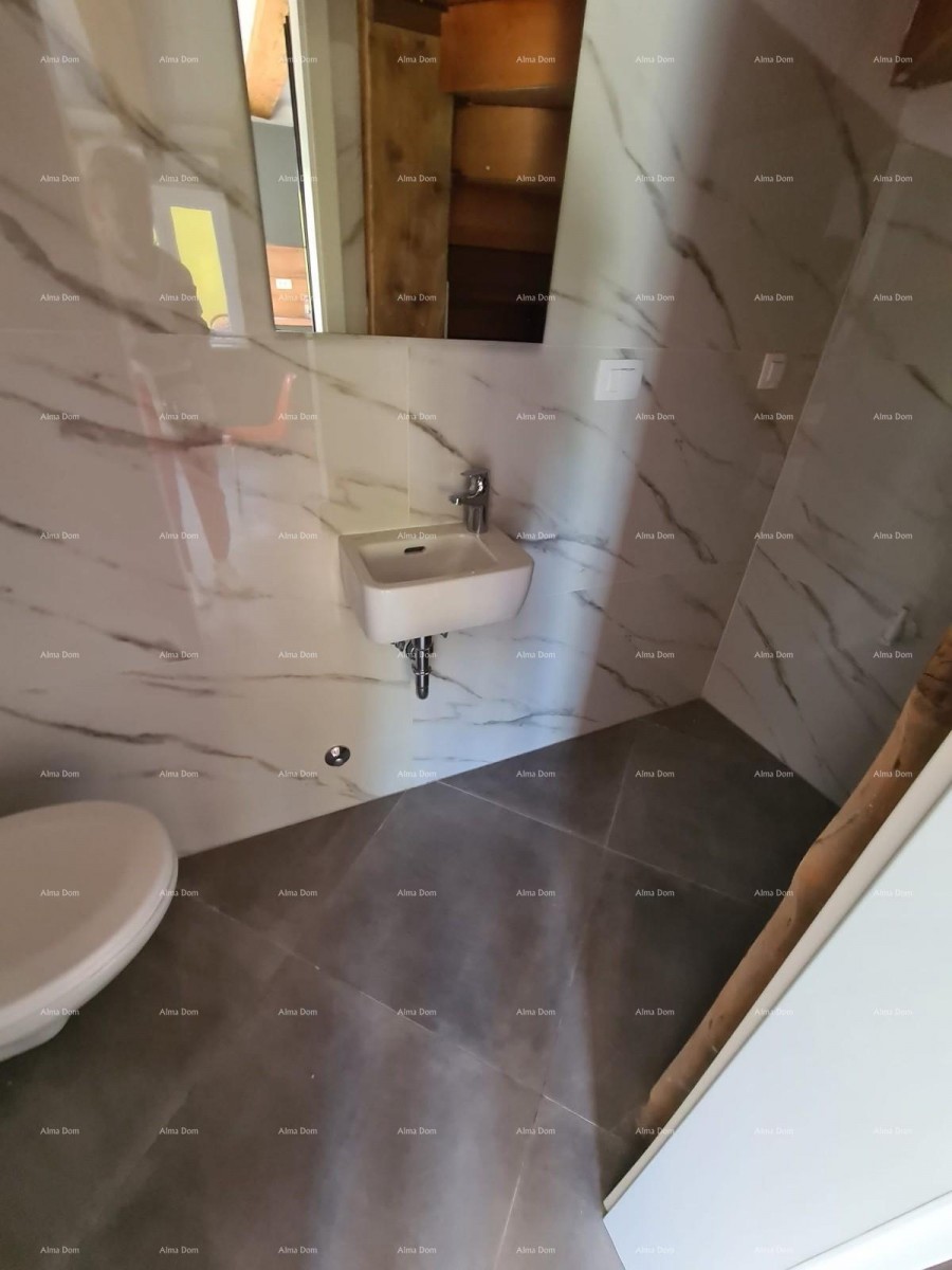 Ristrutturata casa in pietra con piscina – tranquillo villaggio vicino a Svetvinčenat 8