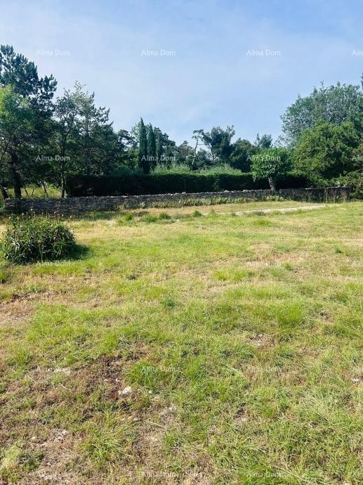 Buje – Samostojeća kuća s maslinikom i građevinskim zemljištem 13