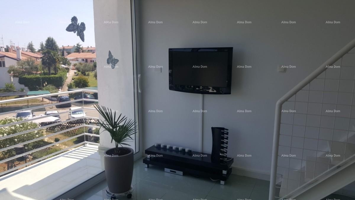 Apartment Novigrad 4