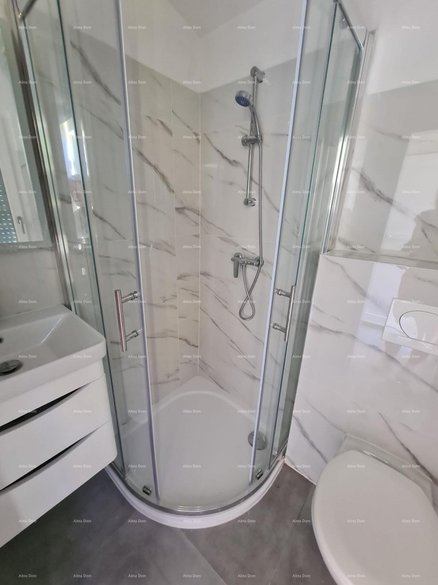 Ristrutturata casa in pietra con piscina – tranquillo villaggio vicino a Svetvinčenat 41