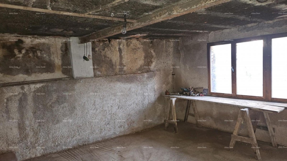 ŽMINJ (okolice) - odlična kamena kuća s dvorištem 15