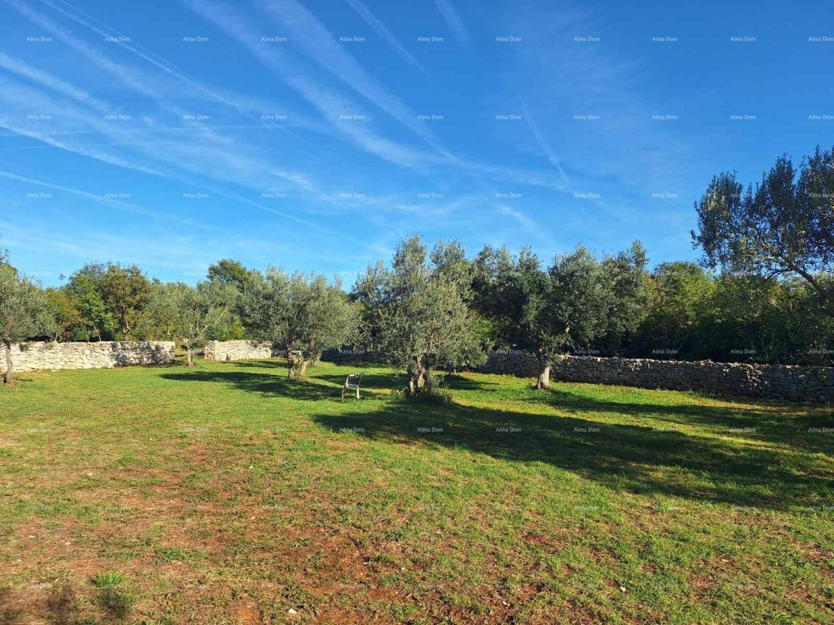 POLJOPRIVREDNO zemljište u blizini mora, Peroj-prodaja! 3