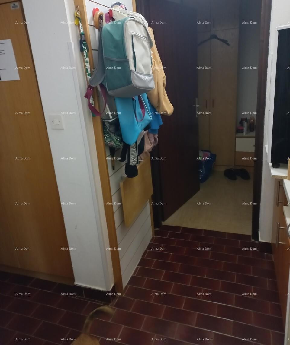 Apartment 32 m2, Mareda 9