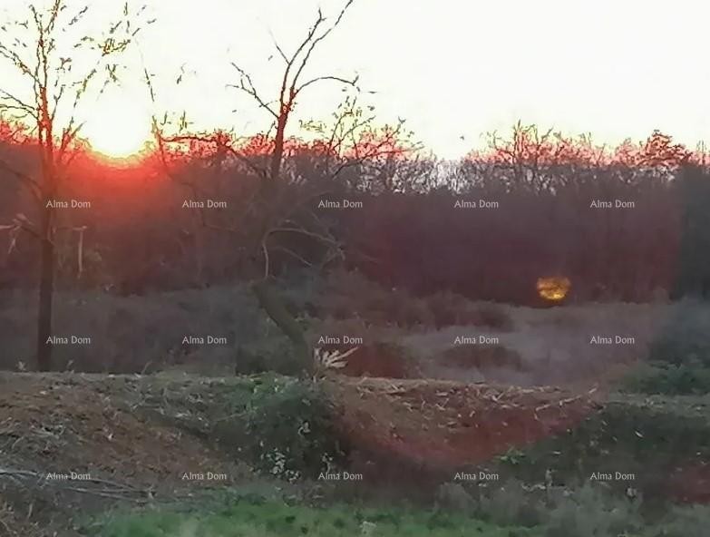 Продажа земли под застройку, Тар (Тар-Вабрига) 2