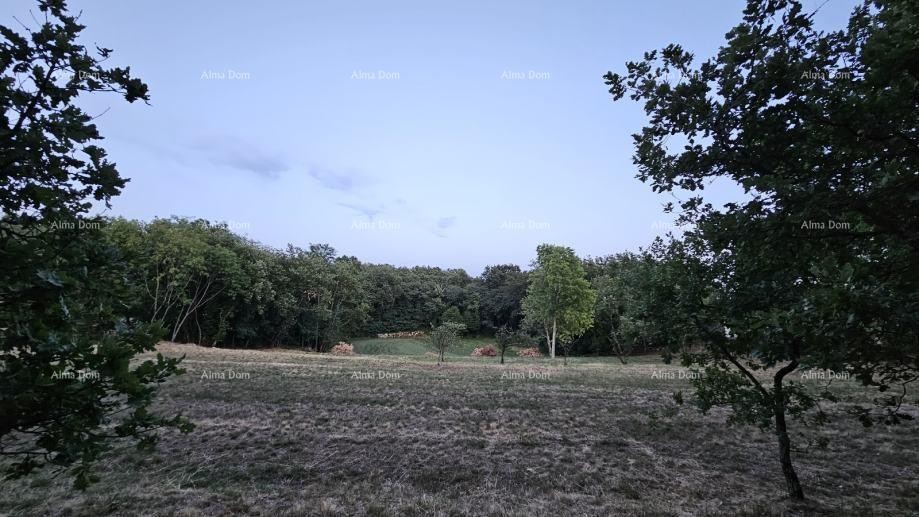 Građevinsko zemljišče v Tinjanu (Istra), 3.623 m² 6