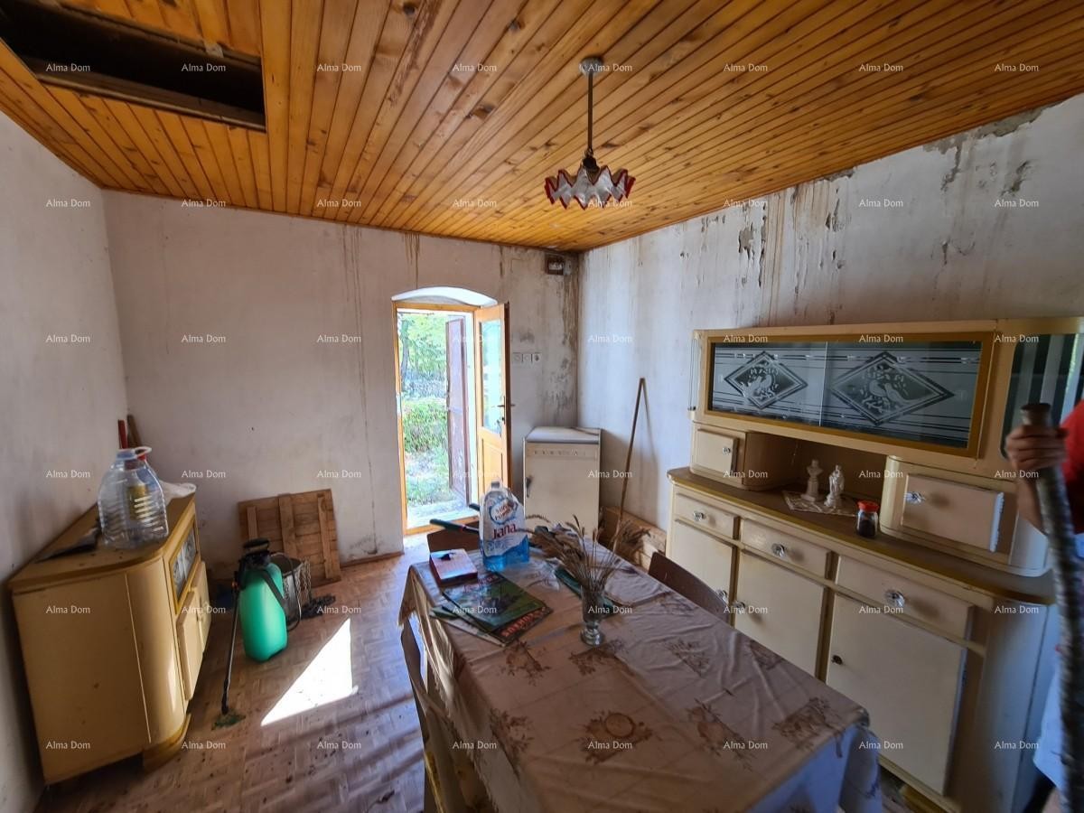 Усадьба возле Водняна! Большой участок 7154 м2!! 12