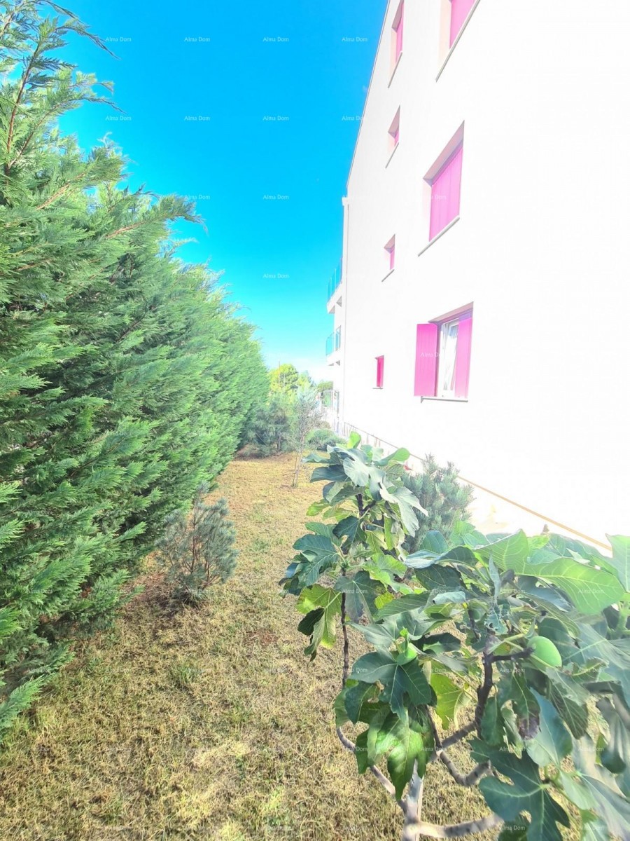 Peroj!  Stanovanje z dvoriščem! 25