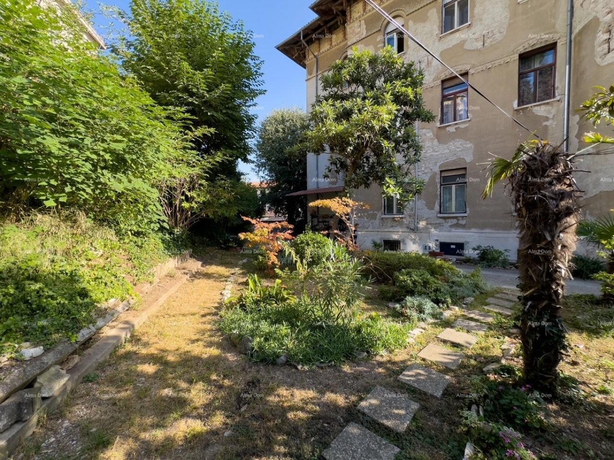 Пула! Квартира в центре города! 1