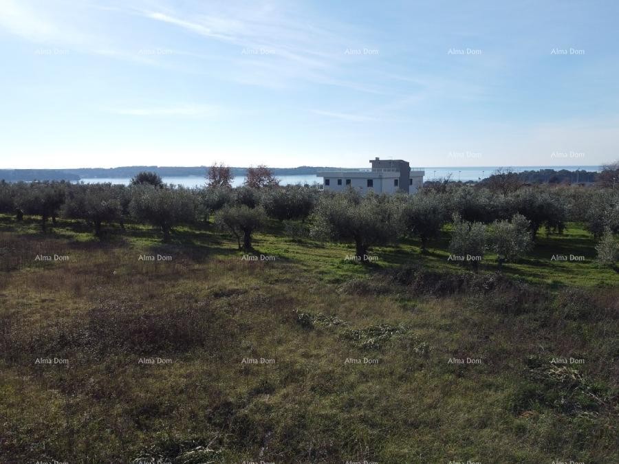 Apartma s strešno teraso - Residence Novi Home Novigrad 10