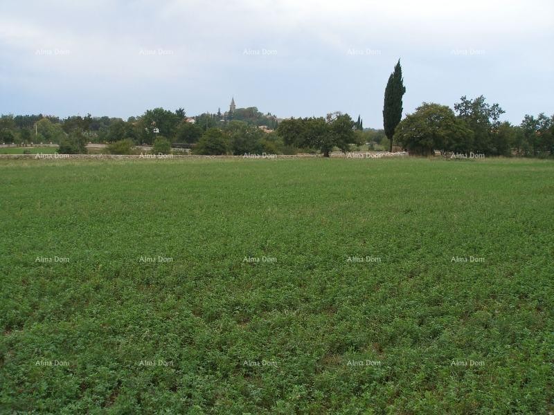 Građevinsko zemljište, Žminj. 60 EURA M2. 1