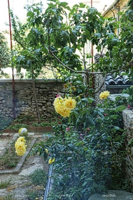 Pula, appartamento con 2 camere nel centro, 31 m² + terrazza e giardino 17