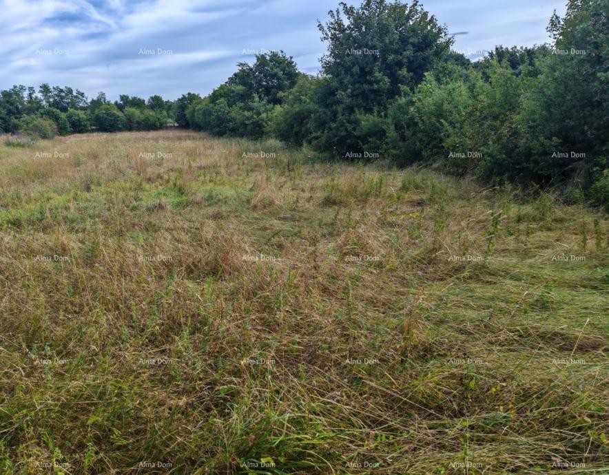 Građevinsko zemljište površine 1.600 m² v bližini Svetvinčenta 2