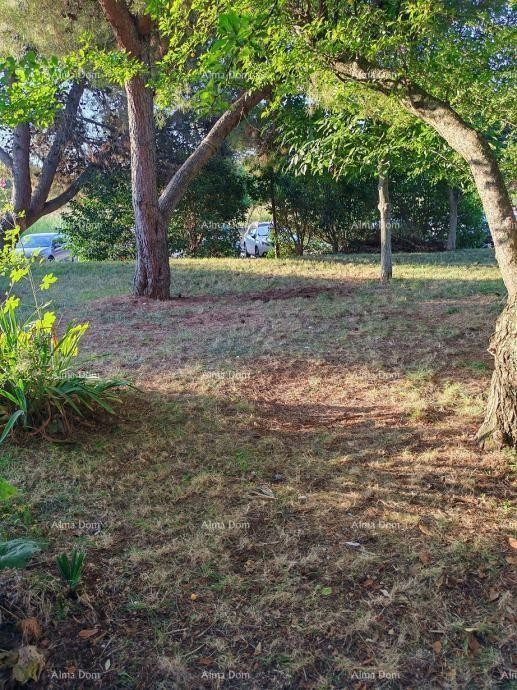 Novigrad - Mareda Prodaje se namješten stan s vrtom, 150 m od plaže! 13