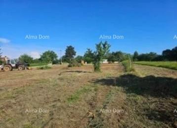 Продаются три строительные участка и один сельскохозяйственный участок. 5