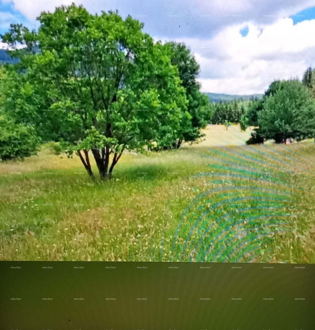 Odlično gradbeno zemljišče v bližini Poreča 1