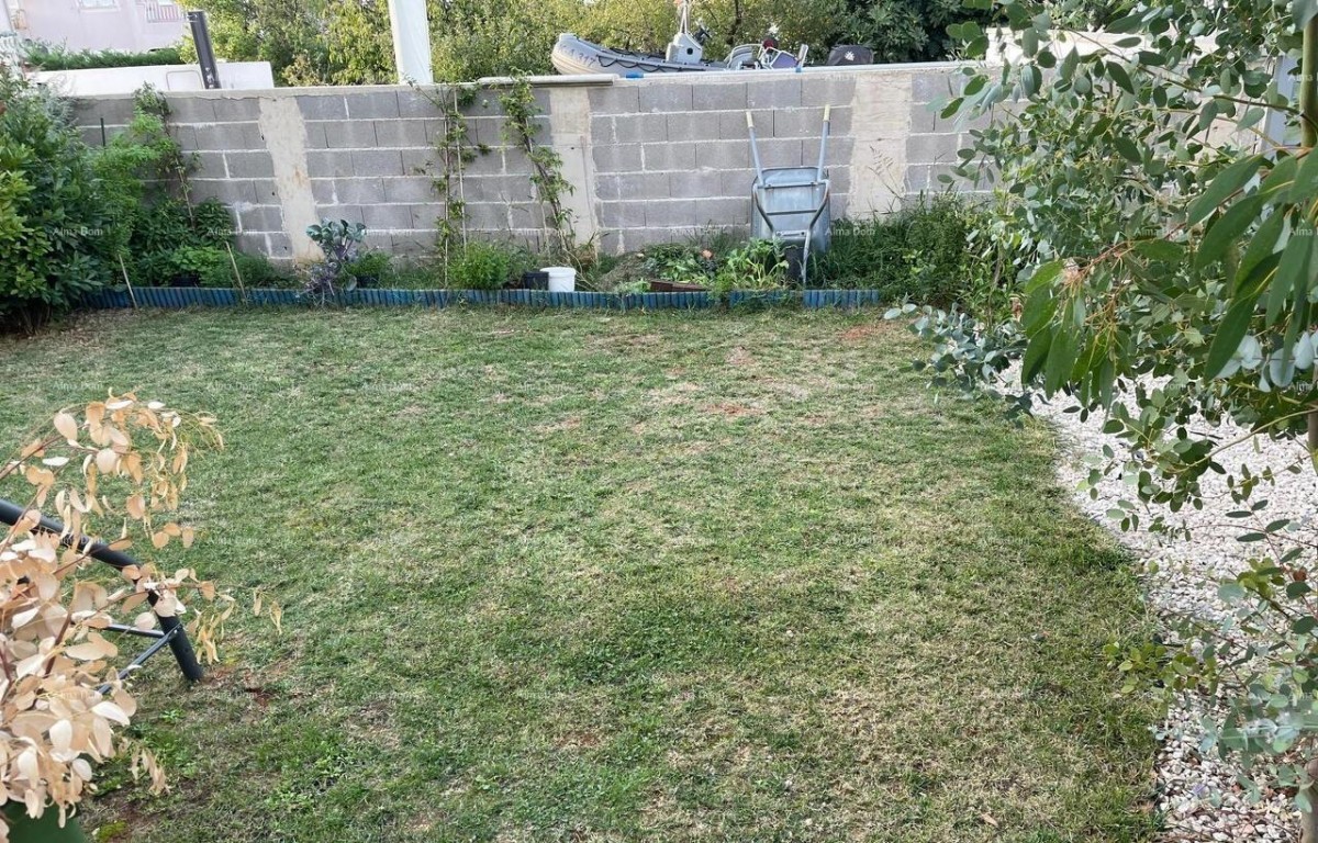 Stan al piano terra con grande giardino – Tar 7