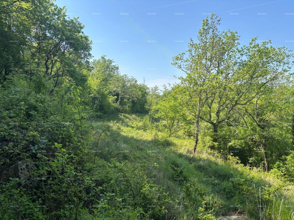 Продажа - комбинированный участок с идеальным проектом и видом на море, Грожнян! 8