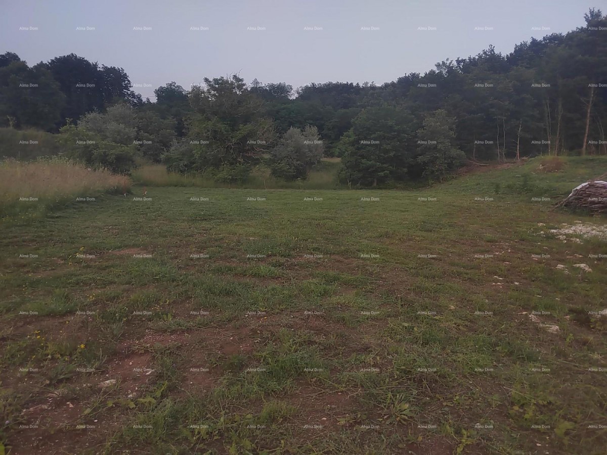 Construction land with a conceptual project, 1818 m², municipality of Pićan 1