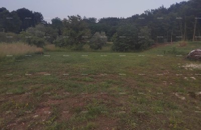 Terreno edificabile con progetto preliminare, 1818 m², comune di Pićan