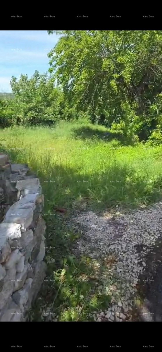 Građevinsko zemljište u blizini Poreča + kuća na poklon! 3