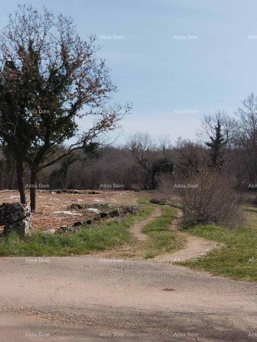 Land 2765 m² in a Quiet Location – Poreč 4