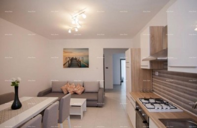 The translation of the title