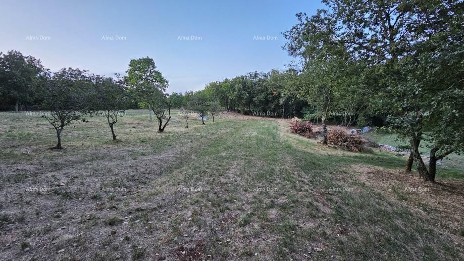 Građevinsko zemljišče v Tinjanu (Istra), 3.623 m² 2