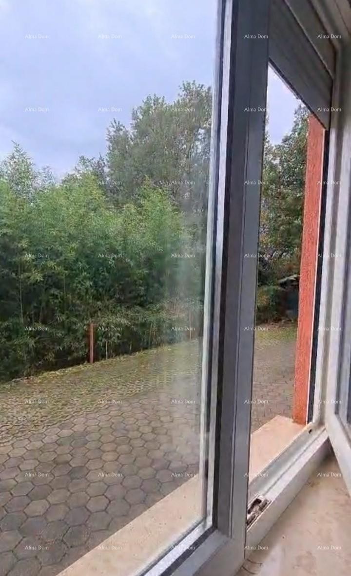 Apartment Novigrad 13