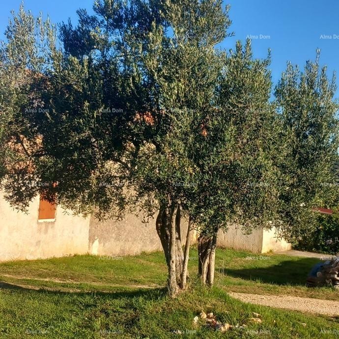 Eccellente opportunità - casa con annessi e ampio terreno, Rovigno! 9