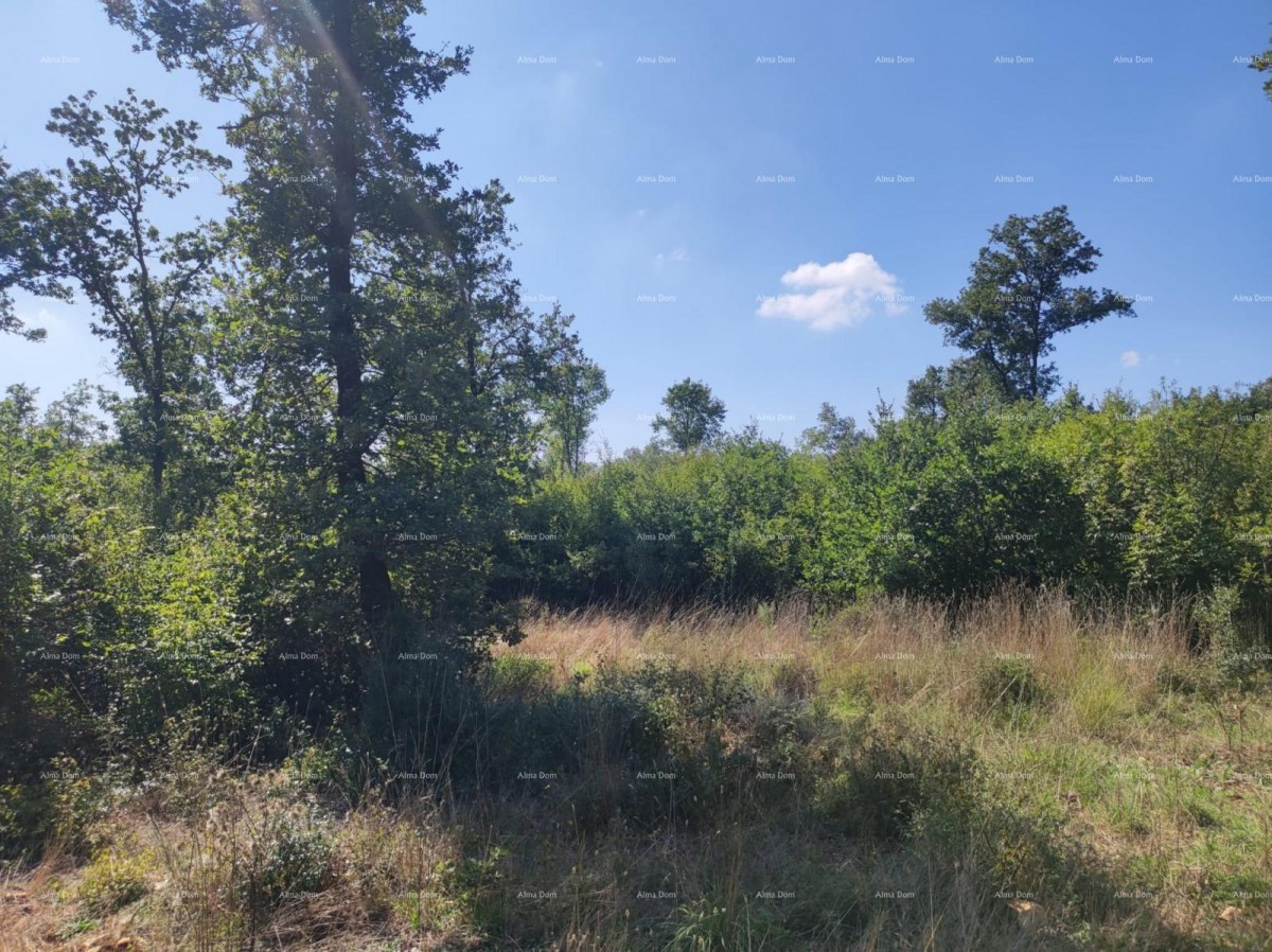 Vendita - TERRENO AGRICOLO, Pula, Valtura! 3