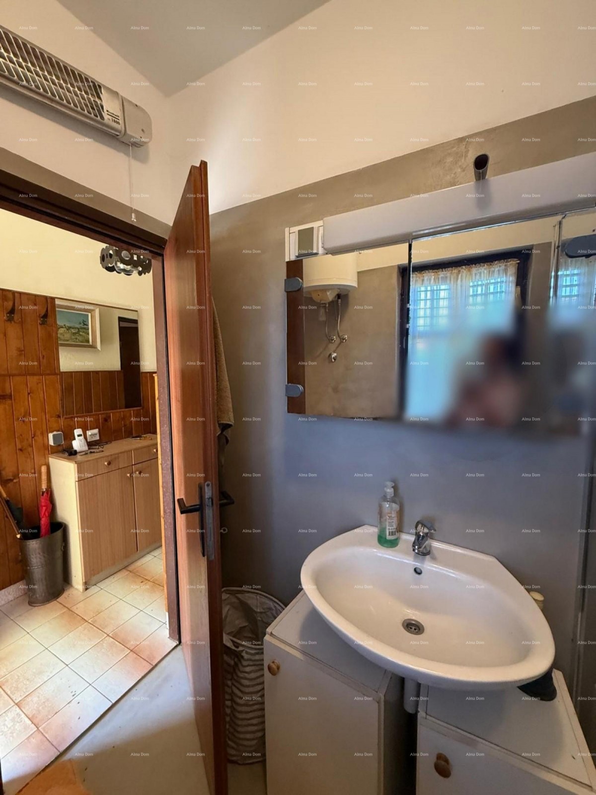 Šarmantna družinska hiša z veliko parcelo in dodatnim gradbenim zemljiščem v bližini Barbana 7