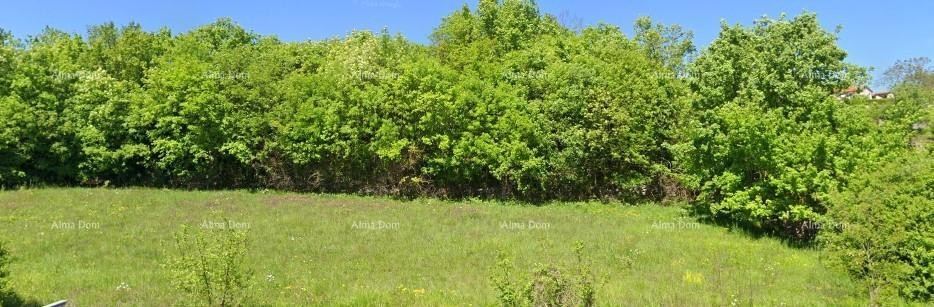 Građevinsko zemljišče 4.168 m² – Tinjan, Istra 1