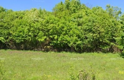 Строительный участок 4.168 м² – Тиньян, Истрия