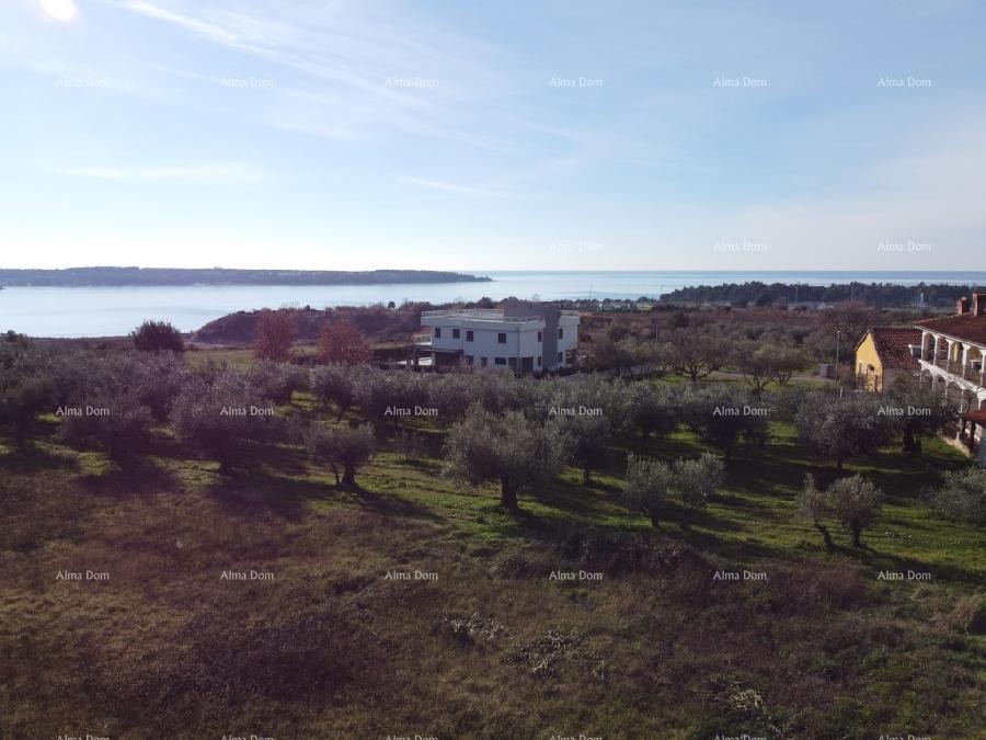 Apartma s strešno teraso - Residence Novi Home Novigrad 8