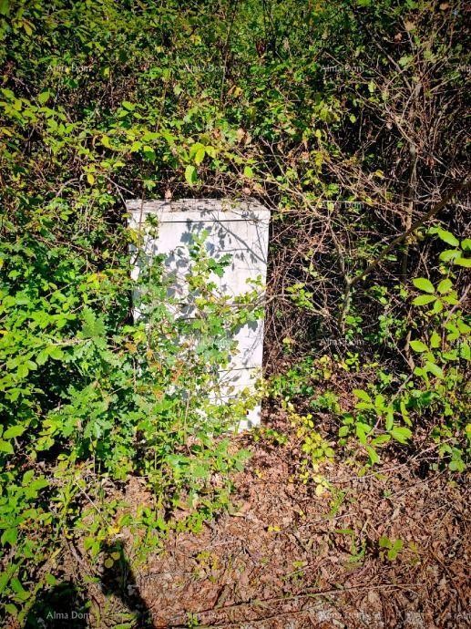 Zemljišče Kršan 4