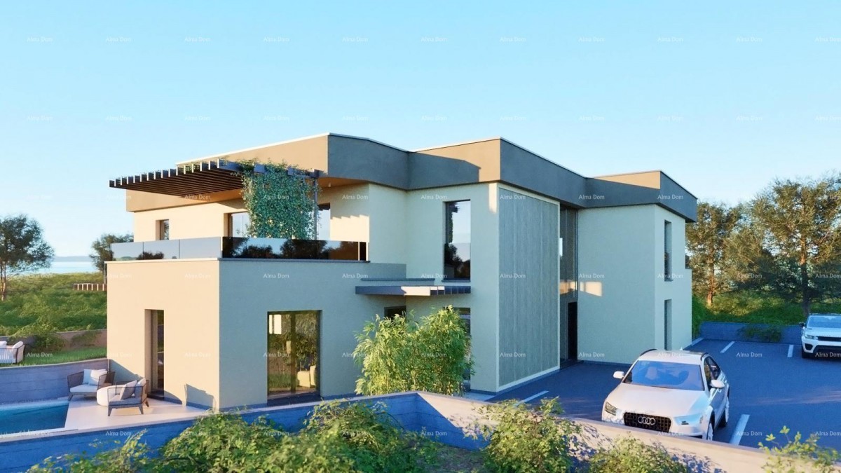 The translation of the title 5