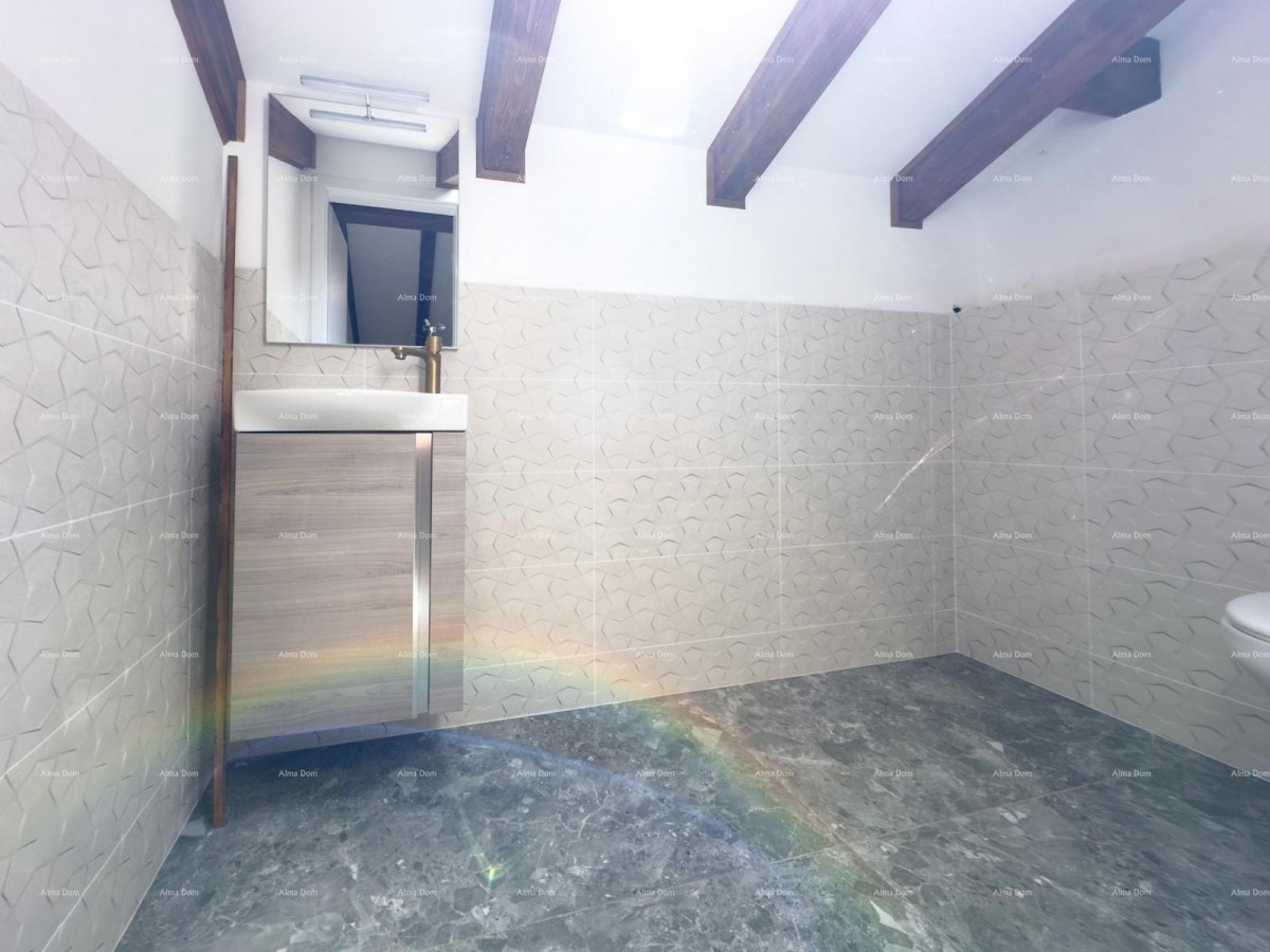 Prodajemo renoviranu Istarsku kamenu kuću u okolici Žminja! 18