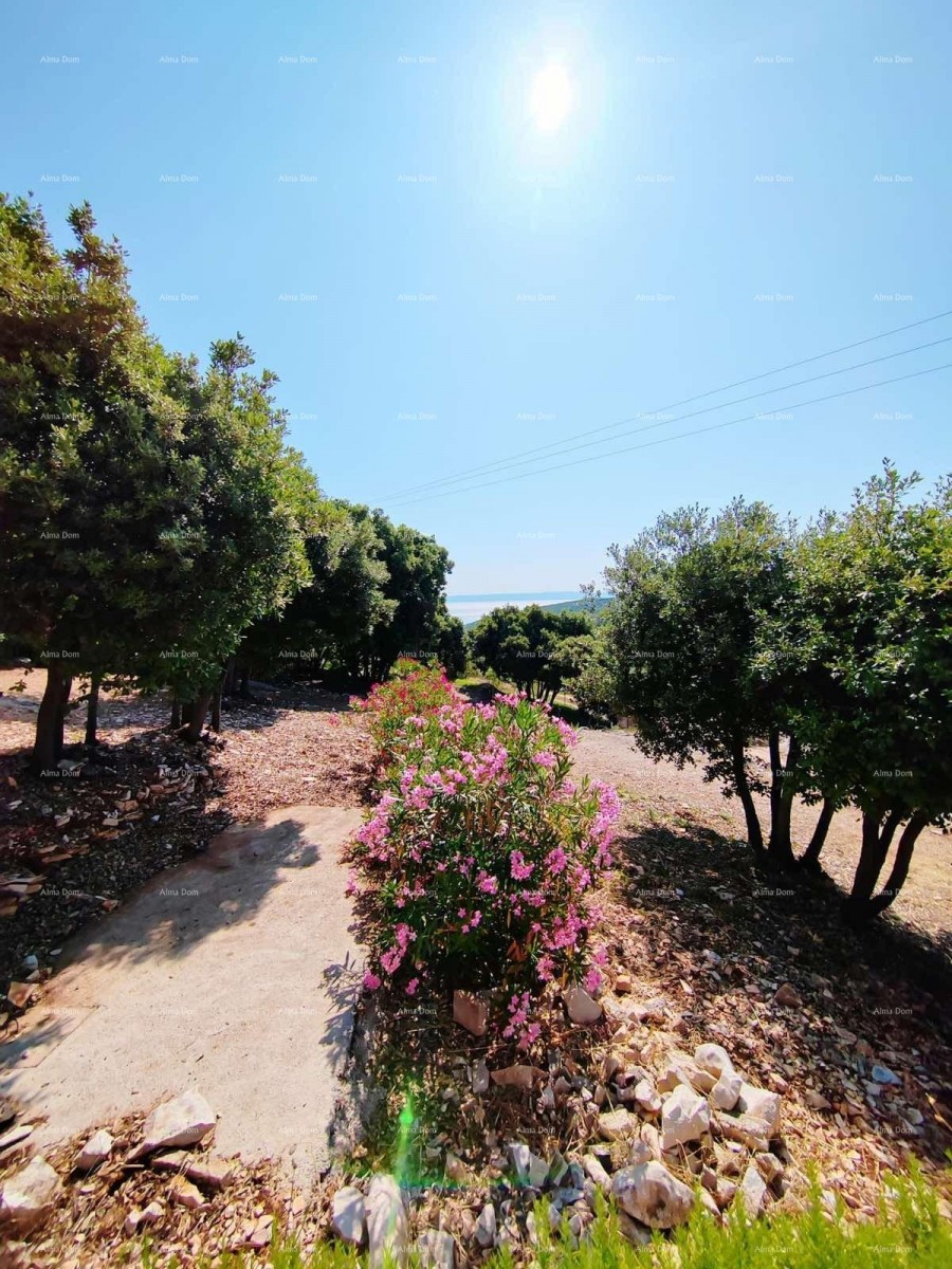 Kavran, Casa indipendente con vista mare 8