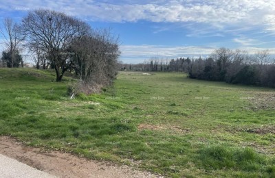 Loborika – construction plot 532 m2