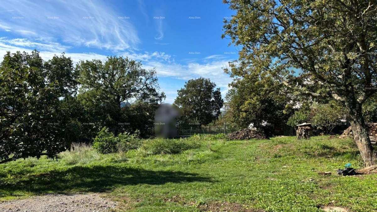 Buzet . 1000 m2. 1