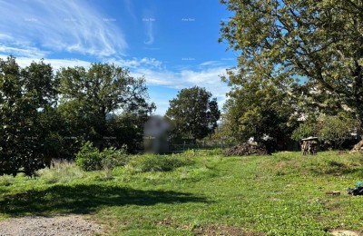 Buzet . 1000 m2.