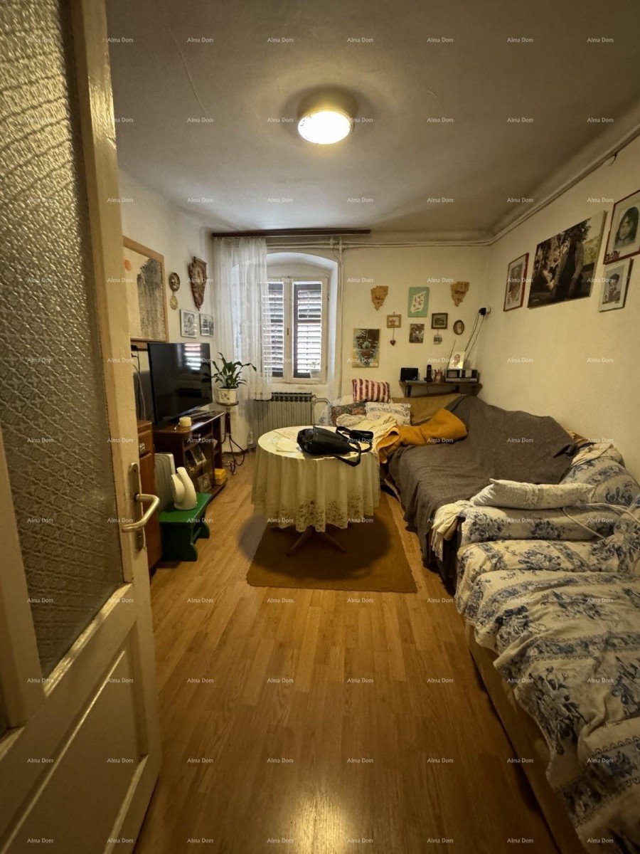 A house with a yard near the center, Buje! 13