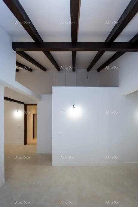 Kanfanar – Modern Ground Floor Apartment with Pool in a Peaceful Environment 7