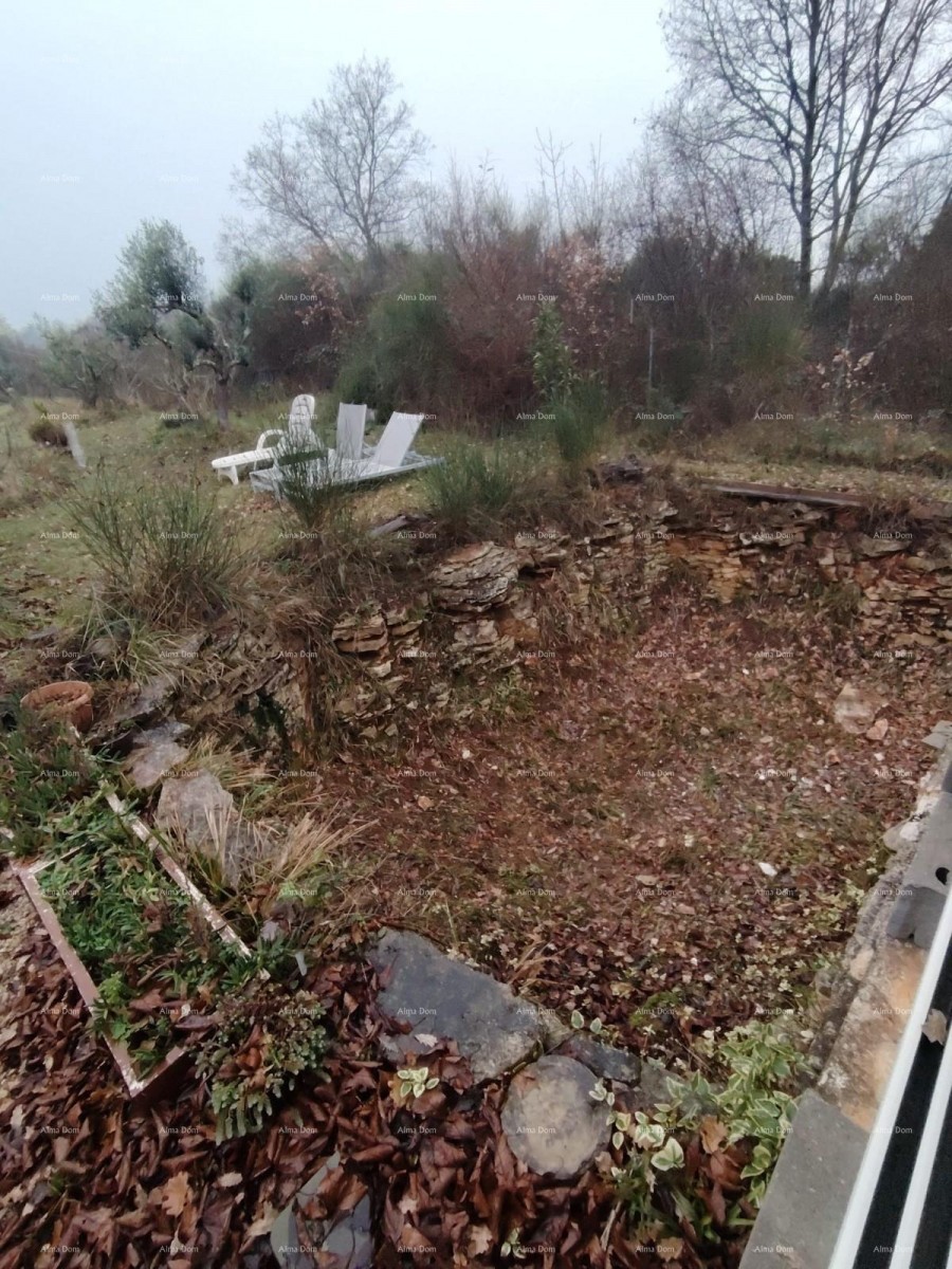 Prodaje se  kuća 95m2 na velikoj parceli od 2119 m2,  udaljena od mora 1800m, Umag 14