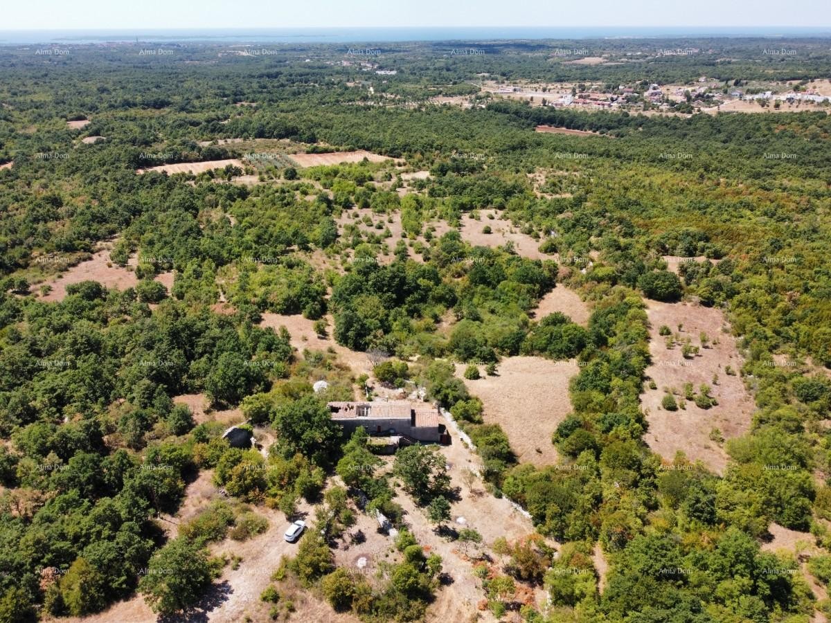 Станция под Водняном! Большой участок 6390 м²!! 17
