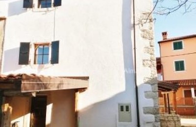House Umag