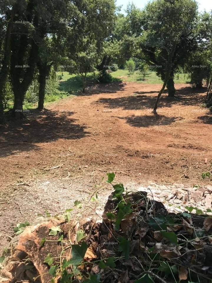 Terreno edificabile 1.137 m² – Filipana 7