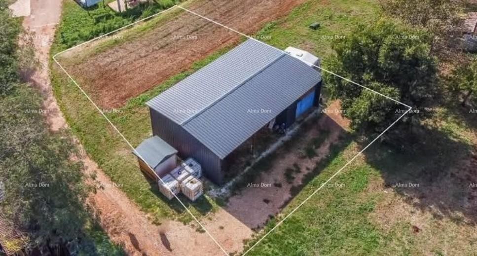 Sale - construction land with a conceptual project near Karigador, Brtonigla! 3