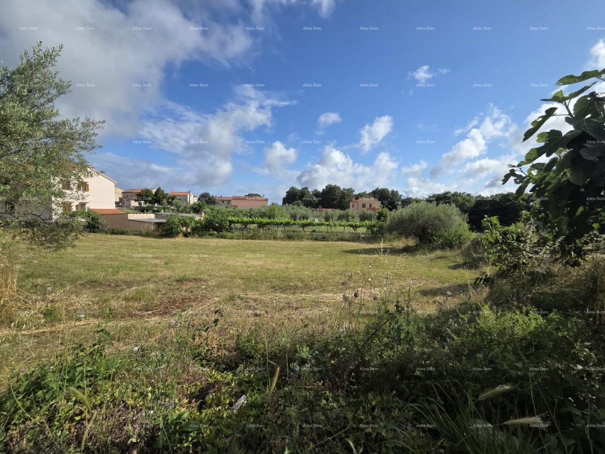 Građevinsko zemljišče 1.412 m², Šegotići 3