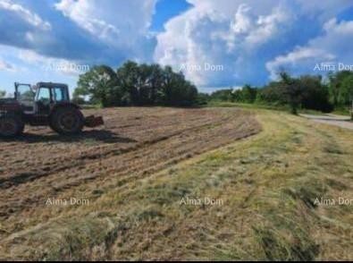 Продаются три строительные участка и один сельскохозяйственный участок. 1